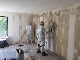 Best Mold Prevention Services  in Piermont, NY